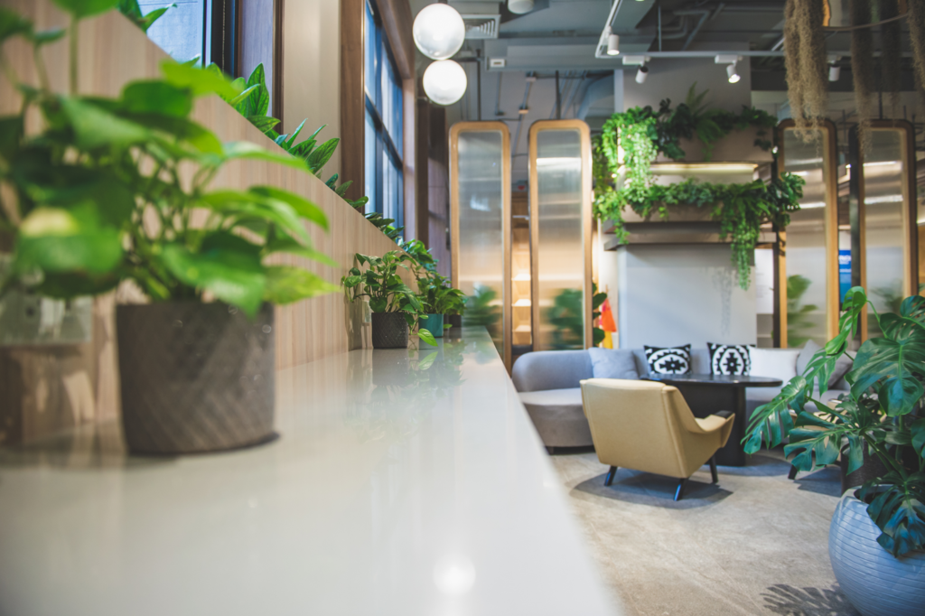 office with green planters all around