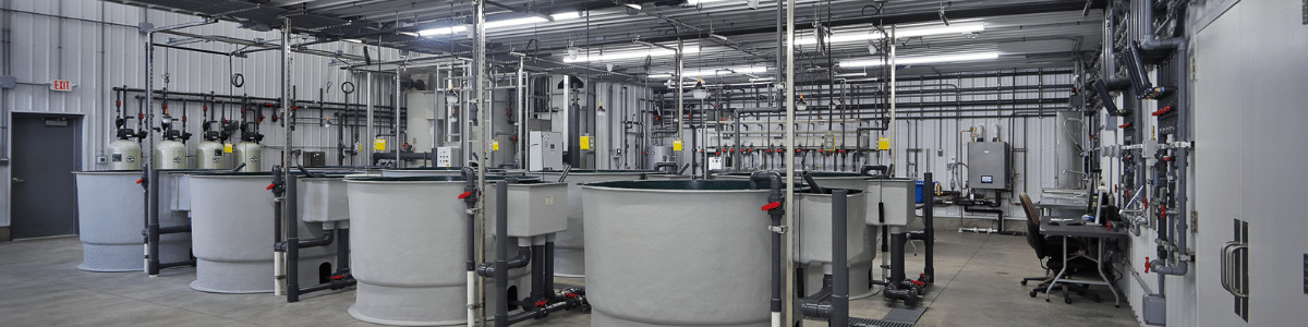 view of hatchery tanks