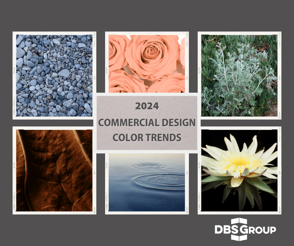 2024 color trends