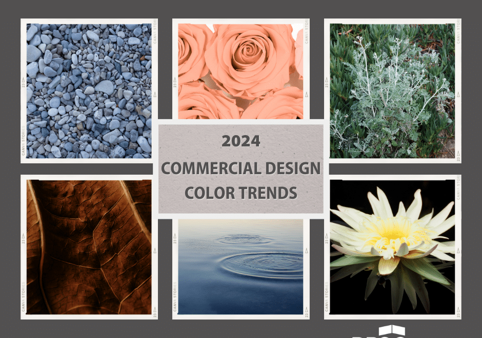 2024 color trends