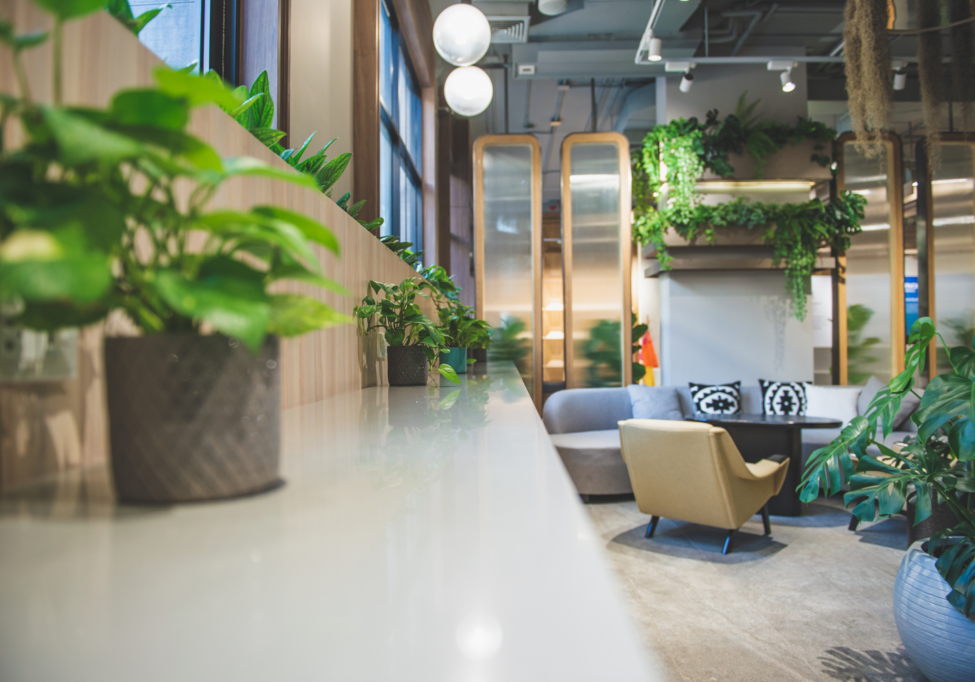 office with green planters all around