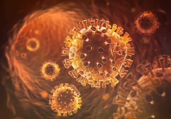 coronavirus_update